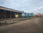 RUMO 9857